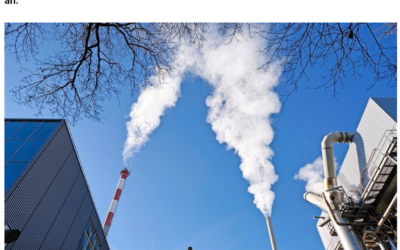 Die Stiftung Carbon Fri berät Unternehmen im Umgang mit dem Abfall